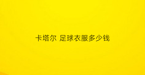 卡塔尔 足球衣服多少钱